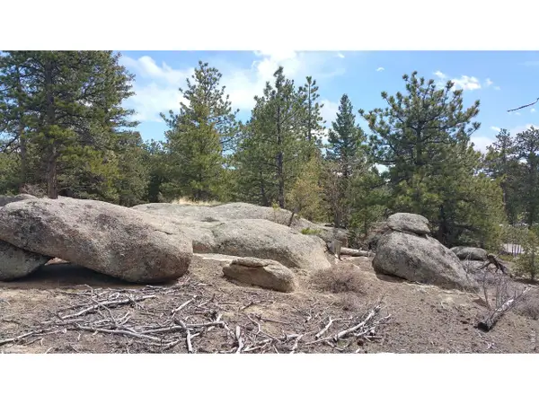 2928 Fox Acres E Dr, Red Feather Lakes, CO 80545