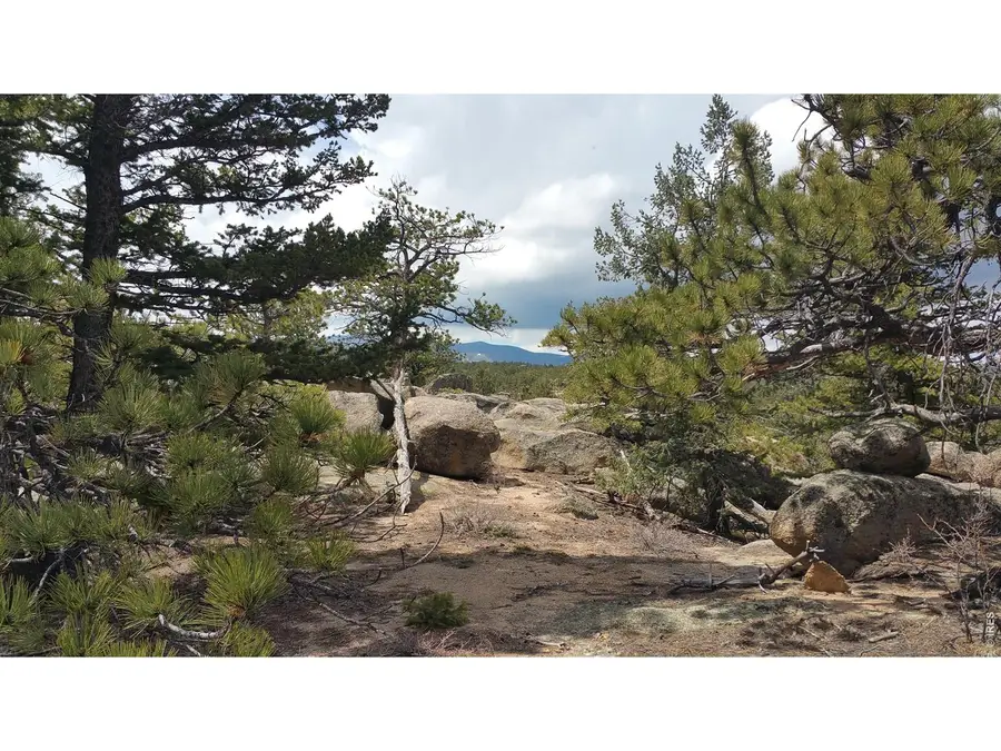 2928 Fox Acres E Dr, Red Feather Lakes, CO 80545 - #3