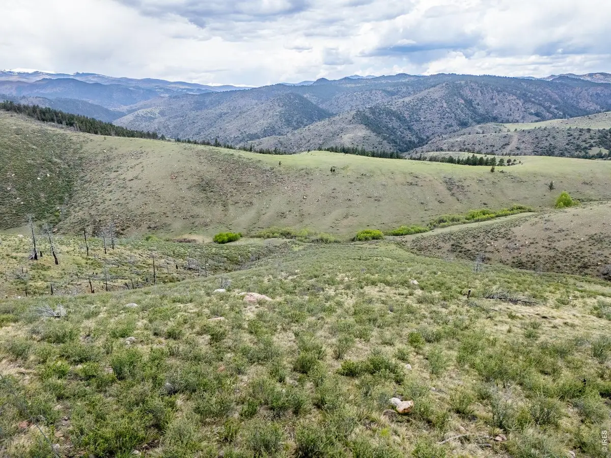 208 Little Bald Mountain Ct, Livermore, CO 80536 - #1