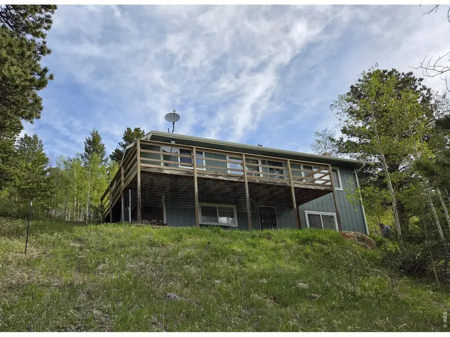 328 N Skinner Rd, Allenspark, CO 80510 - #2