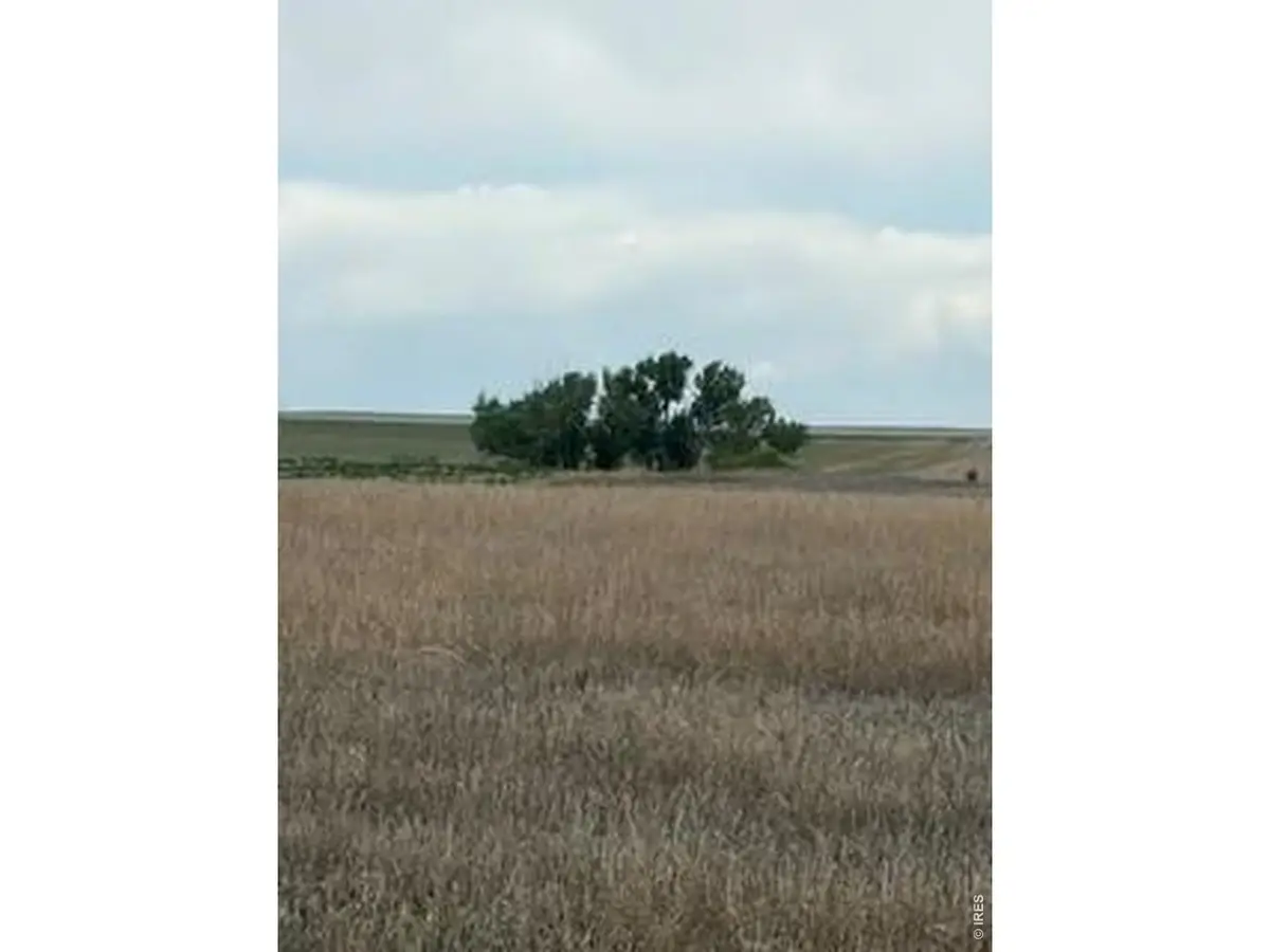 Peoria Crossing Rd, Bennett, CO 80102 - #1