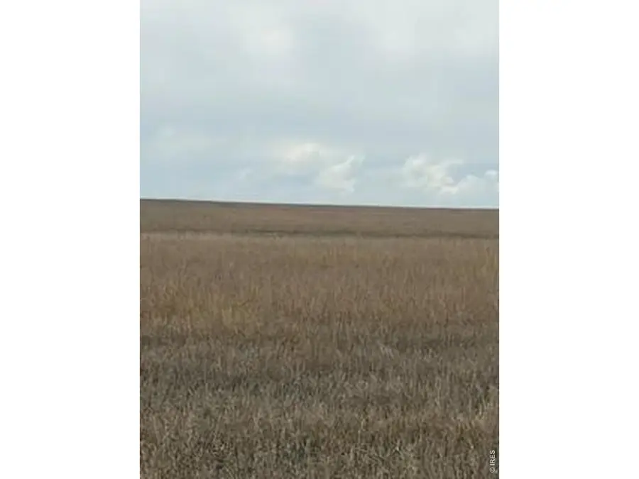 Peoria Crossing Rd, Bennett, CO 80102 - #3