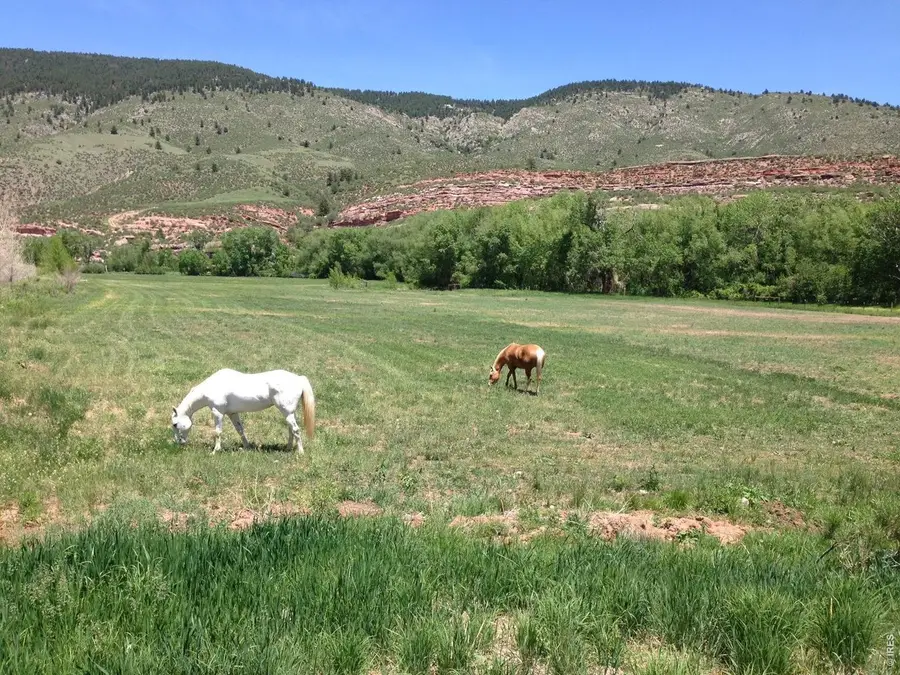 13240 Mountain Ranch Dr, Loveland, CO 80538 - #3