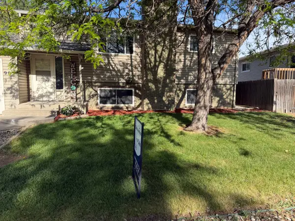 905 Woodbine Dr, Windsor, CO 80550