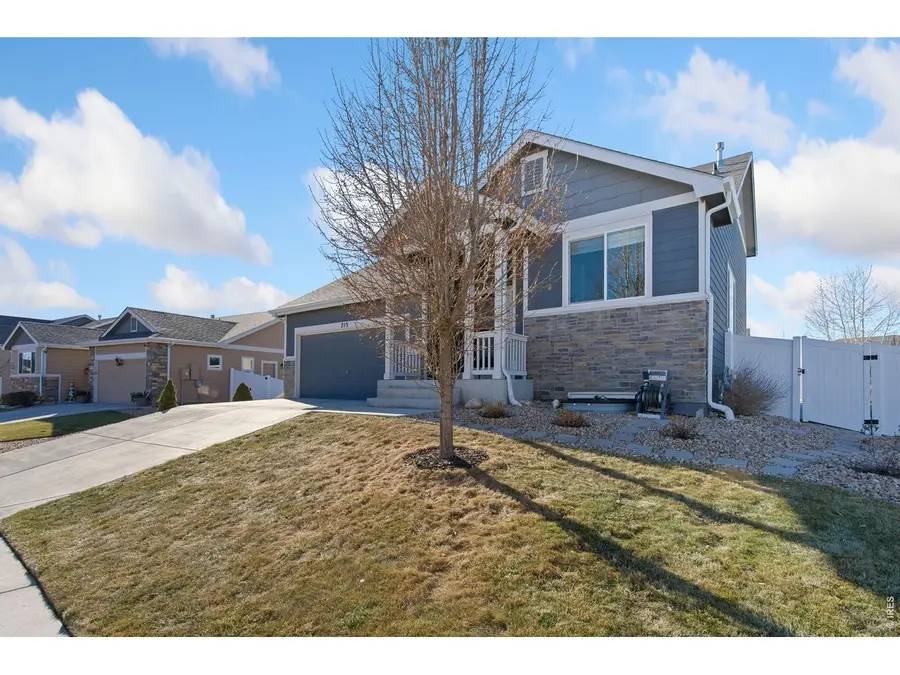 715 Mt Evans Ave, Severance, CO 80550 - #2