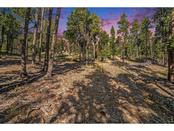 231 Granite Dr, Drake, CO 80515