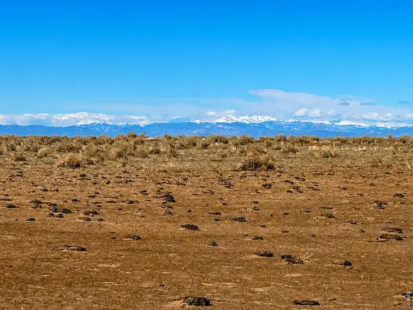 County Road 80, Briggsdale, CO 80611