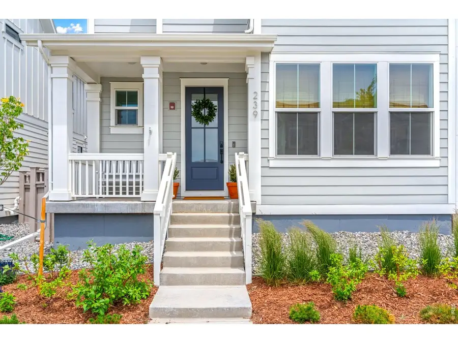 239 Washington St, Erie, CO 80516 - #3