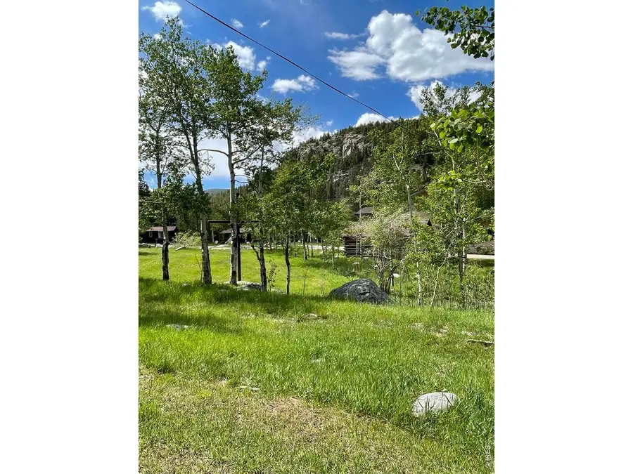 450 Peaceful Valley Rd, Lyons, CO 80540 - #2