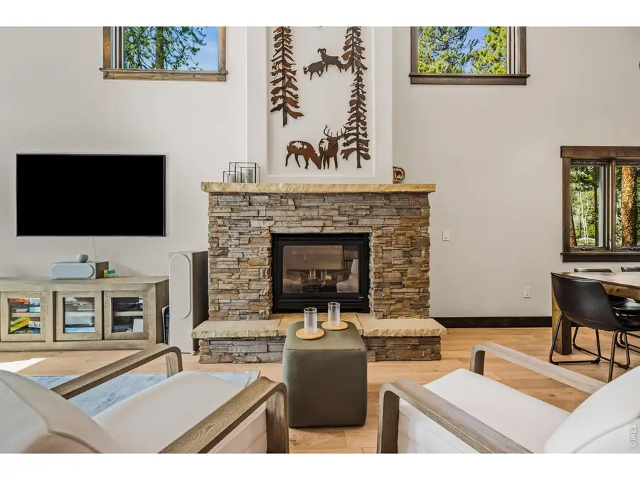 147 Lupine Ln, Frisco, CO 80443 - #3