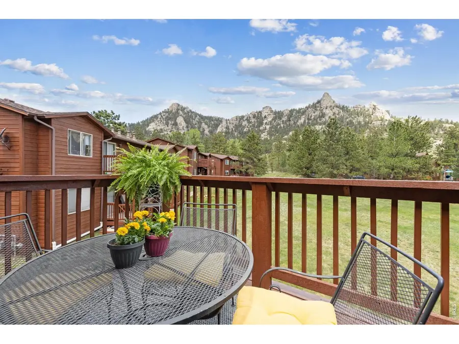 503 Fall River Ln #D, Estes Park, CO 80517 - #3