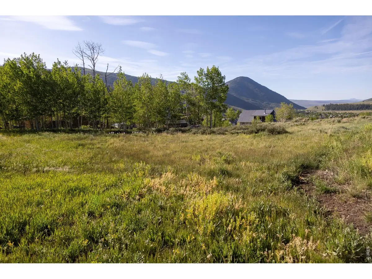 451 Zeligman St, Crested Butte, CO 81224 - #1