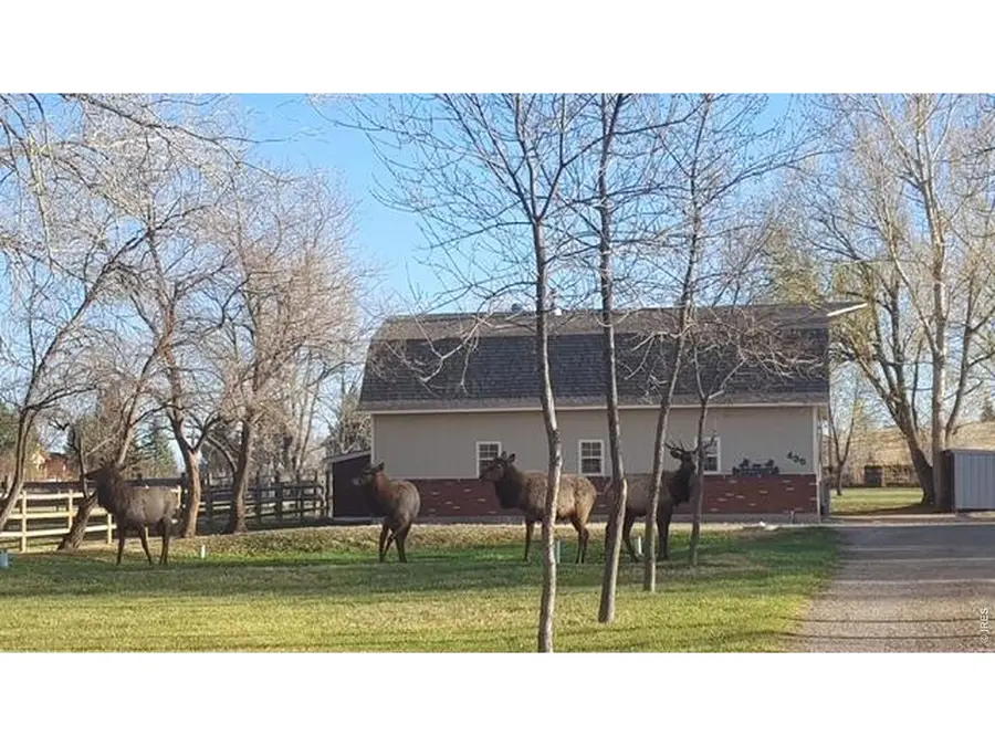 435 Willowrock Dr, Loveland, CO 80537 - #3