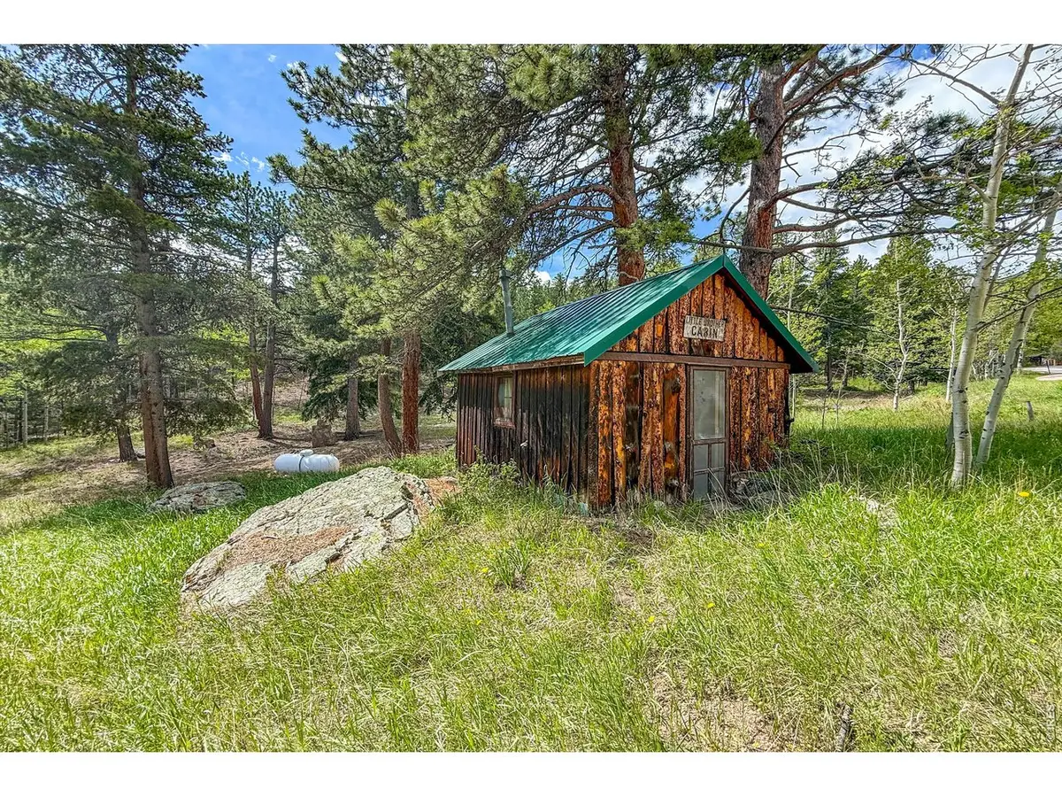 412 Highway 7 Business, Allenspark, CO 80510 - #1