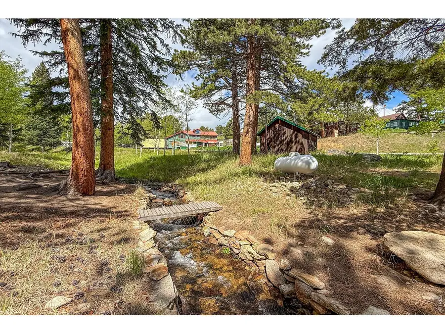 412 Highway 7 Business, Allenspark, CO 80510 - #2