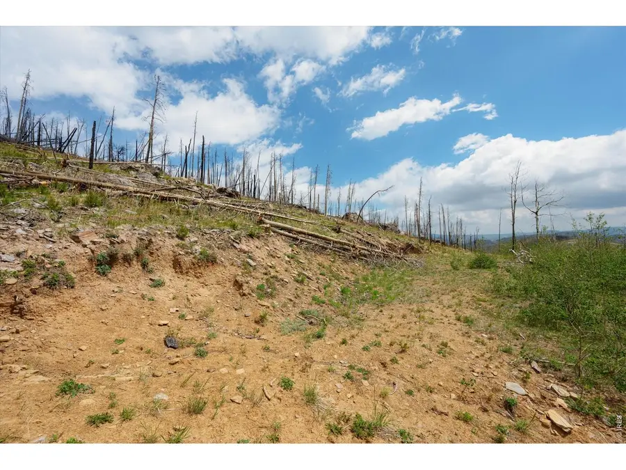 30 Sheep Horn Ct, Bellvue, CO 80512 - #2