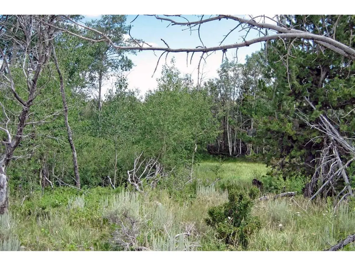 Wilderness Ranch Rd, Livermore, CO 82070 - #1