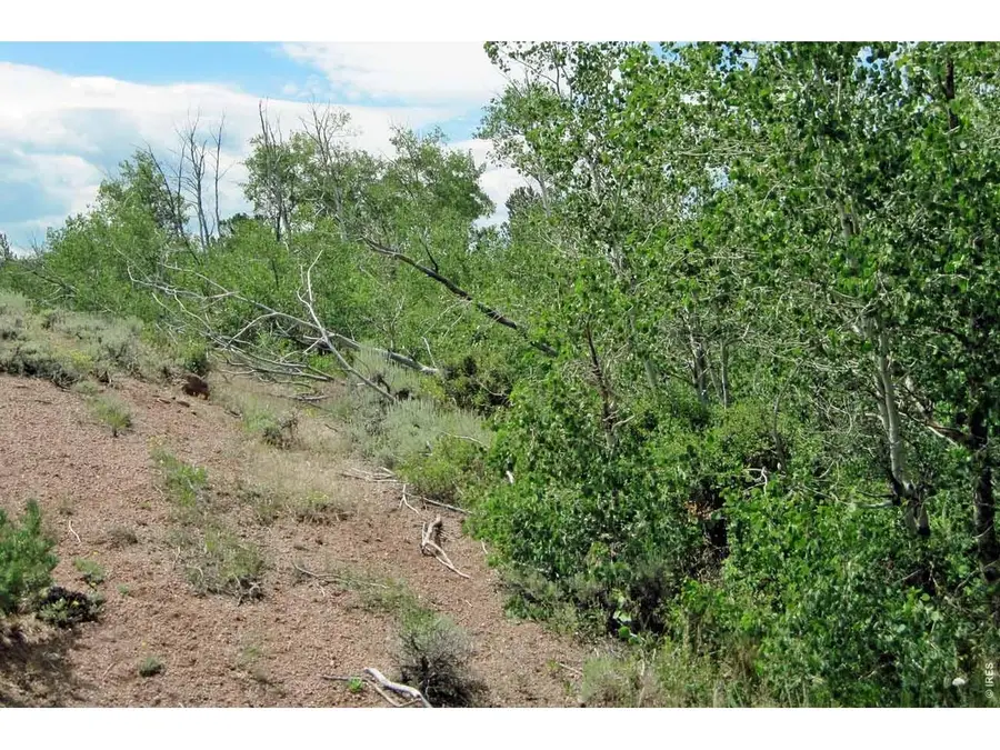 Wilderness Ranch Rd, Livermore, CO 82070 - #3