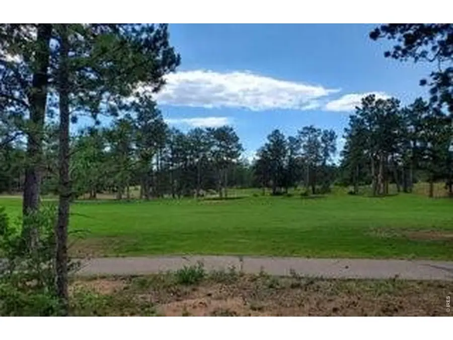 3031 Lake Arapahoe Ct, Red Feather Lakes, CO 80545 - #2