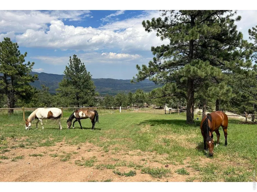 1893 Colard Ln, Lyons, CO 80540 - #2