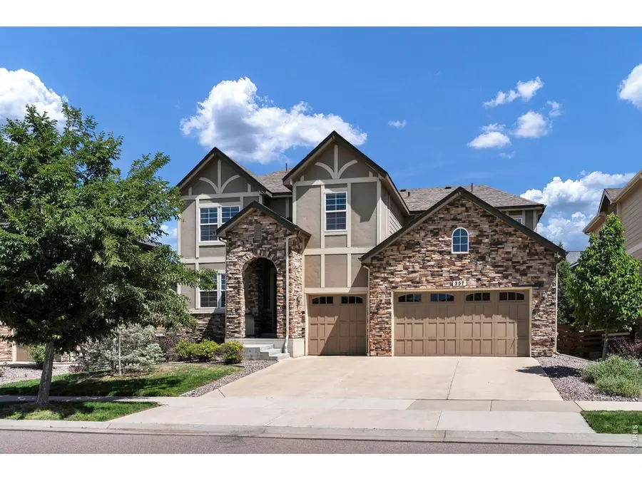 257 Horizon Ave, Erie, CO 80516 - #3