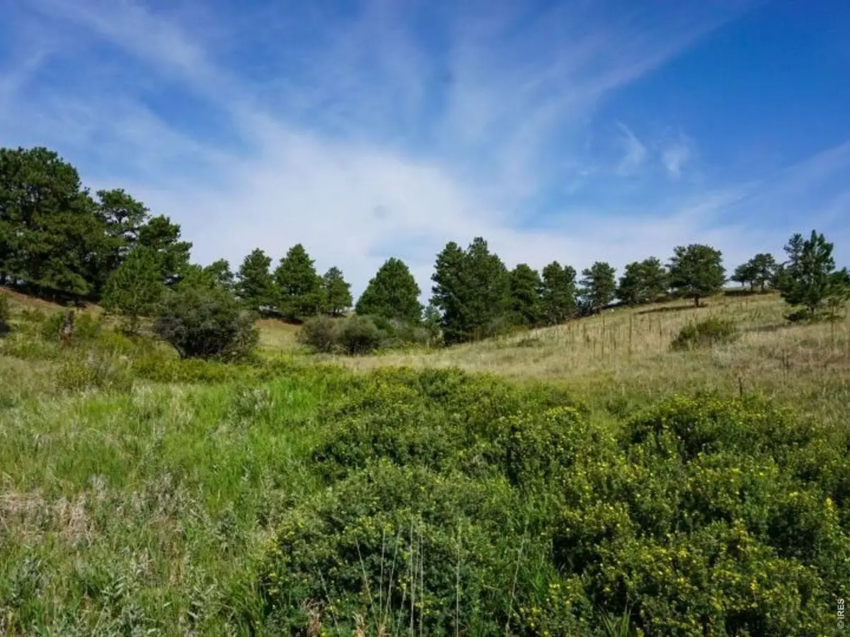 0 Stub Ct, Livermore, CO 80536 - #1