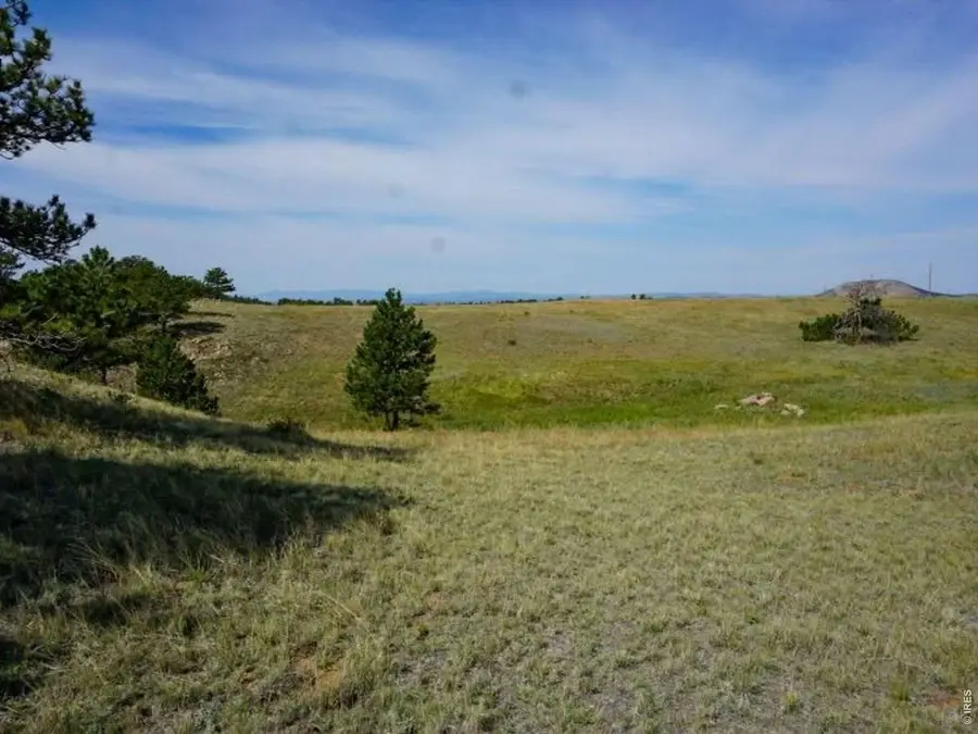 0 Stub Ct, Livermore, CO 80536 - #3