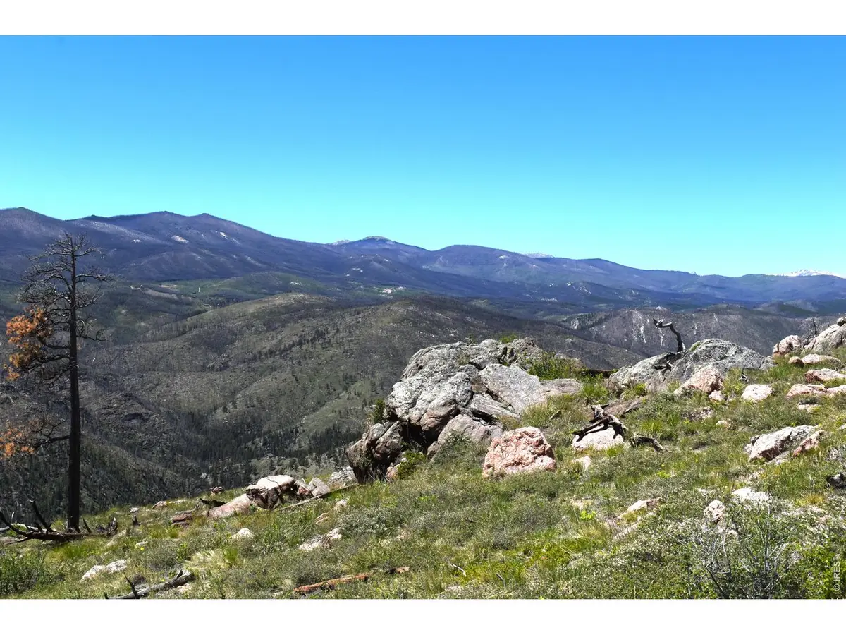 1989 Spencer Mountain Rd, Bellvue, CO 80512 - #1