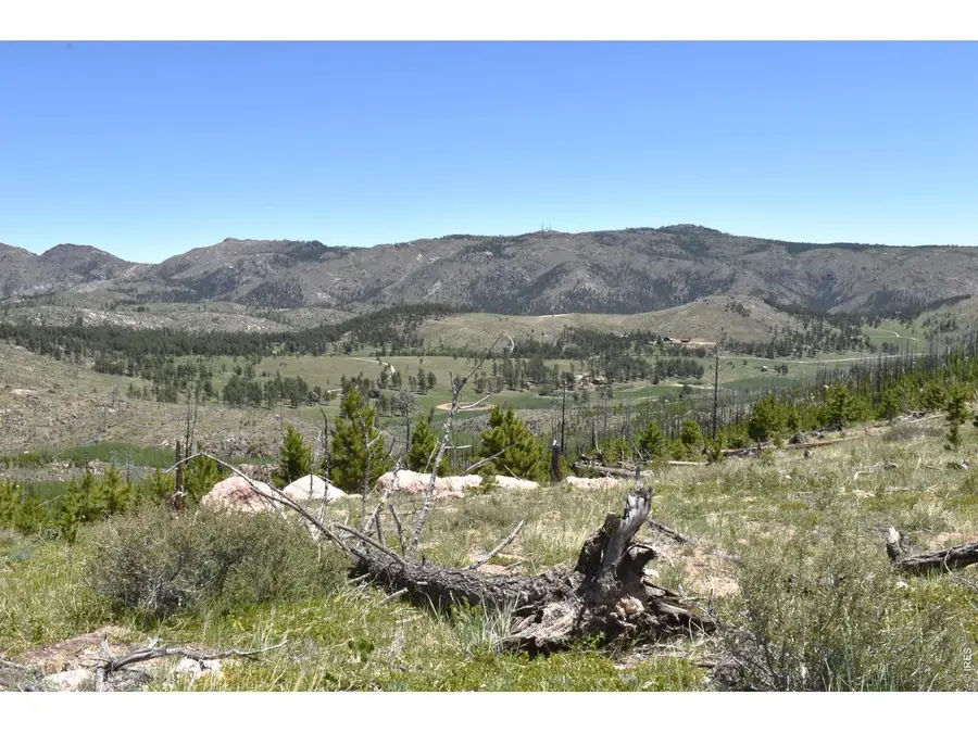 1989 Spencer Mountain Rd, Bellvue, CO 80512 - #2