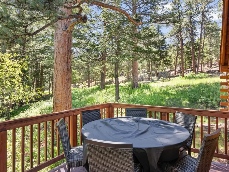 1062 Ramshorn Rd, Estes Park, CO 80517 - #3