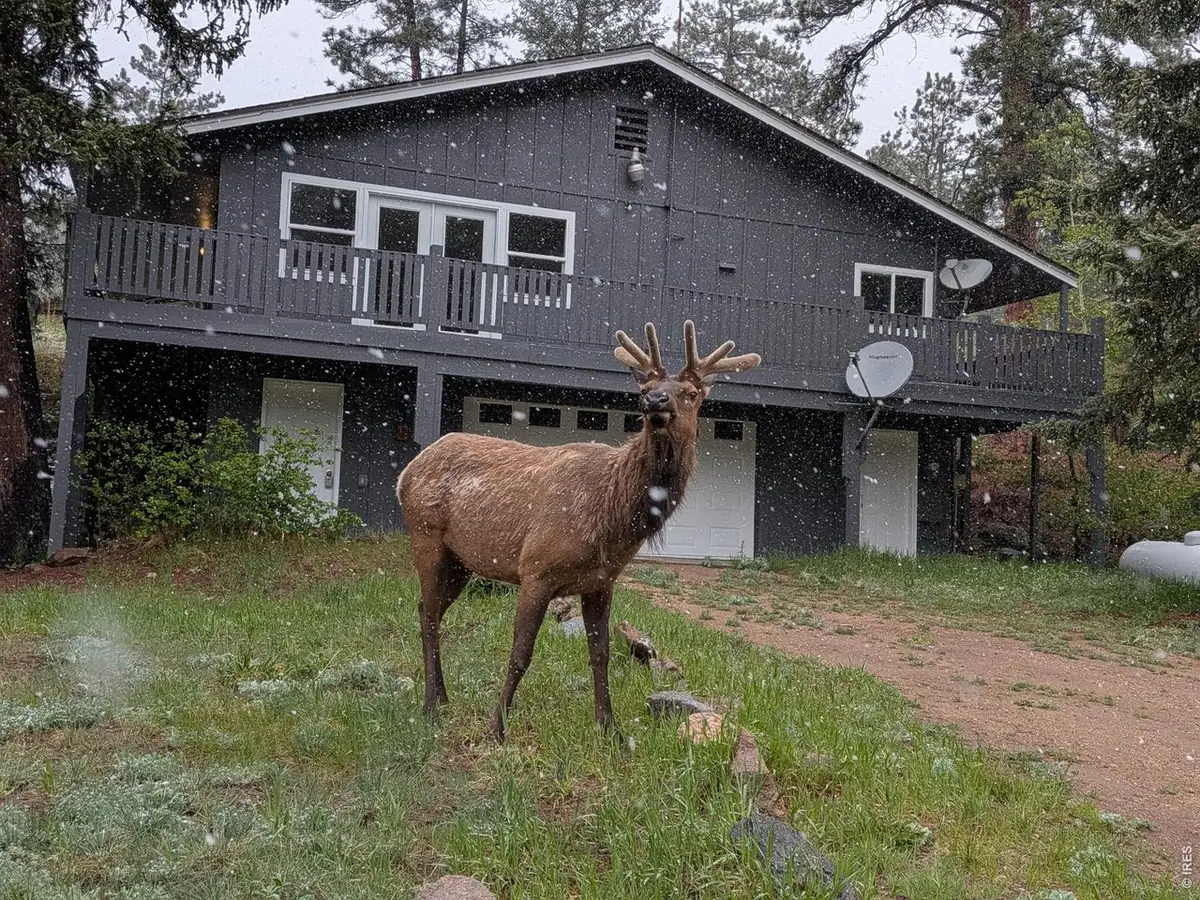 163 West Creek Rd, Glen Haven, CO 80532 - #1