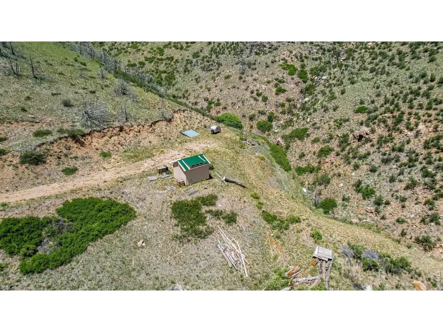 173 Grays Peak Ct, Livermore, CO 80536 - #3