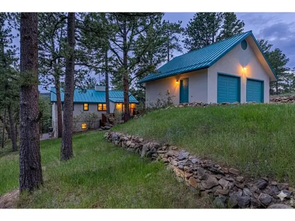 2 King Pl, Nederland, CO 80466