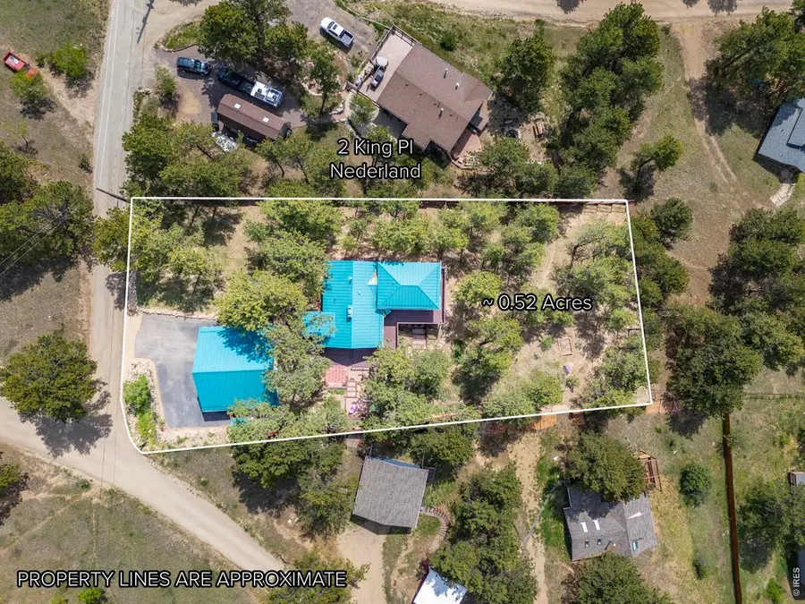 2 King Pl, Nederland, CO 80466 - #3