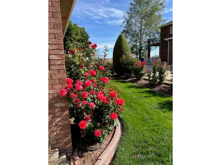 2238 Breckenridge Dr, Berthoud, CO 80513 - #3