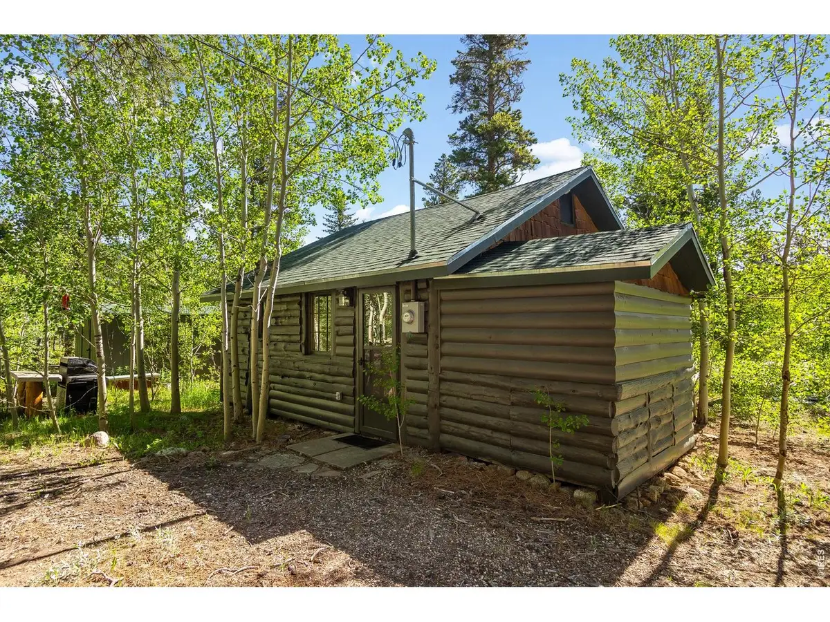 11614 Peak To Peak Hwy, Allenspark, CO 80510 - #1