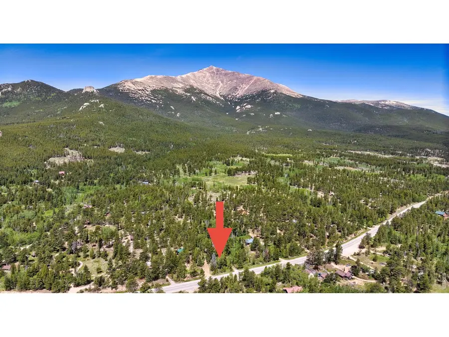 11614 Peak To Peak Hwy, Allenspark, CO 80510 - #3