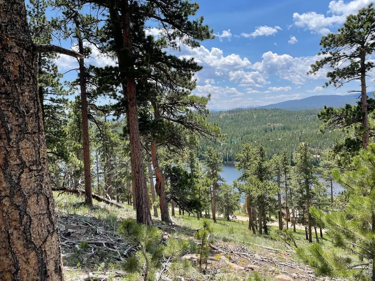 1091 Osage Trl, Red Feather Lakes, CO 80545 - #1