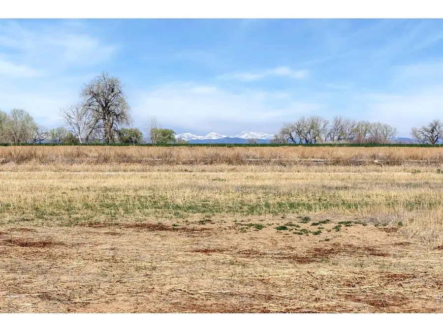 15288 Ypsilon Cir, Mead, CO 80542 - #3