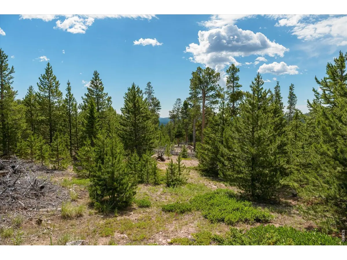 410 Pearl Creek Rd, Red Feather Lakes, CO 80545 - #1