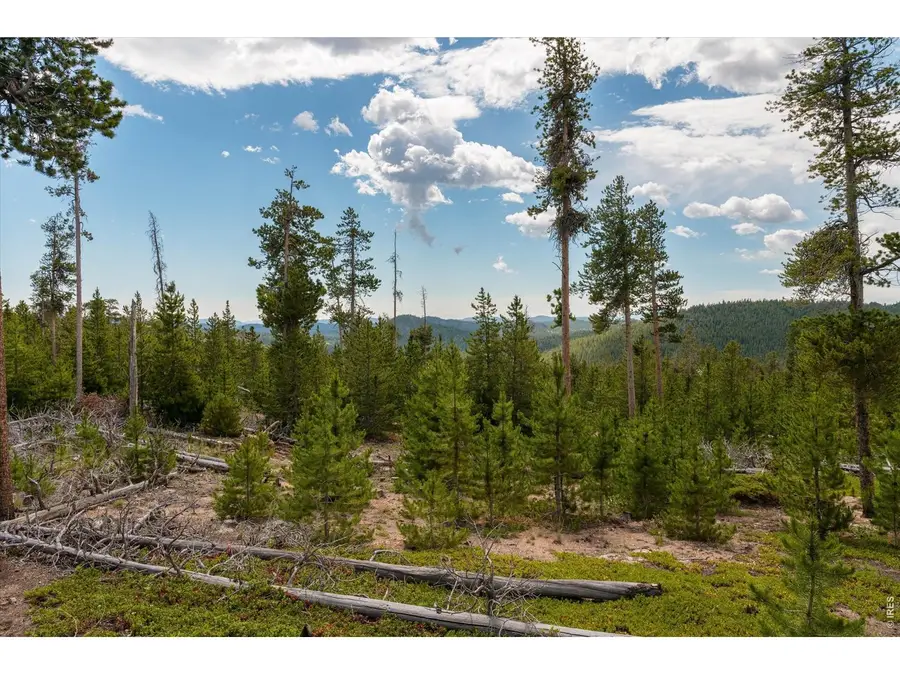 410 Pearl Creek Rd, Red Feather Lakes, CO 80545 - #2