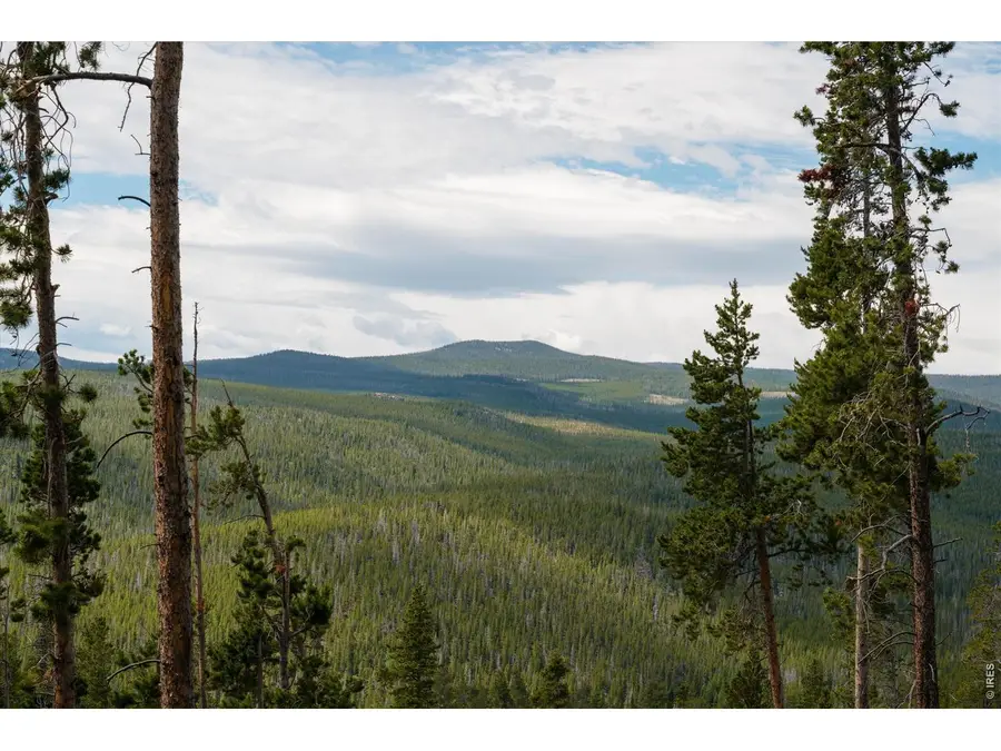 410 Pearl Creek Rd, Red Feather Lakes, CO 80545 - #3