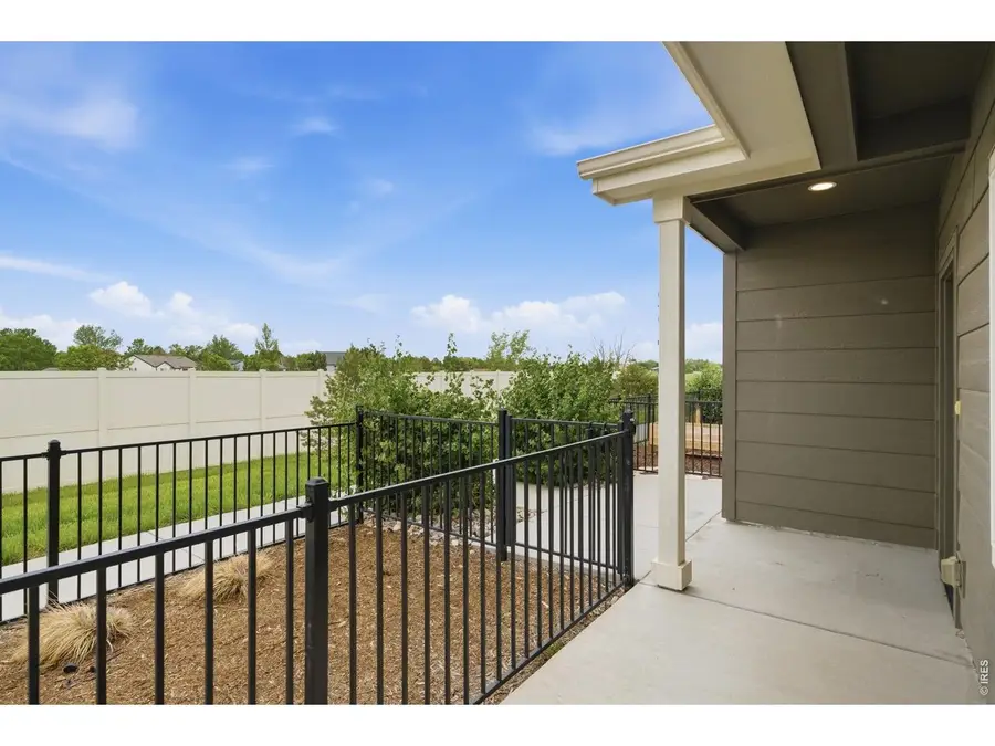3642 Ronald Reagan Ave, Wellington, CO 80549 - #3