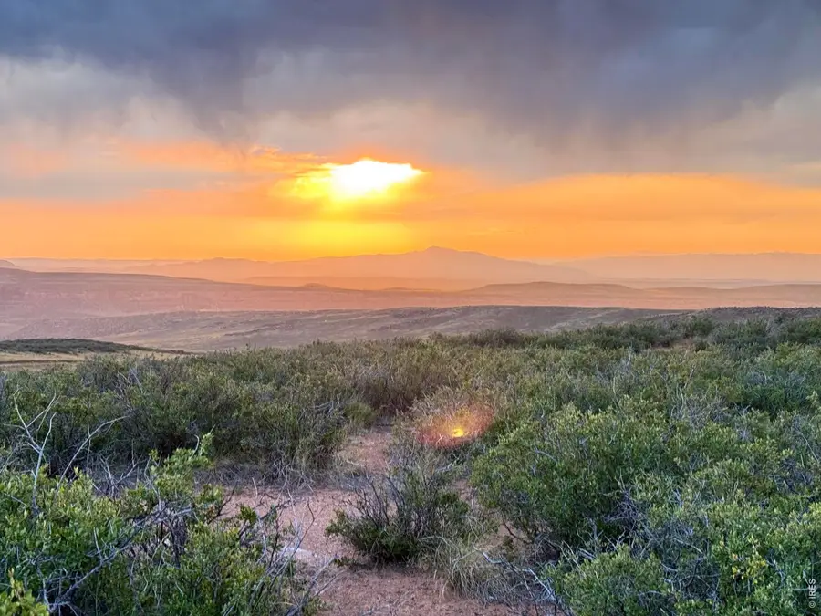 Address Withheld By Seller, Livermore, CO 82070 - #2