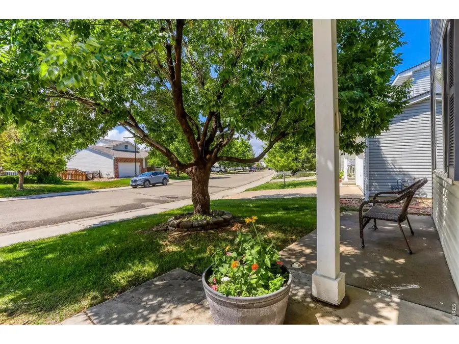 1245 Fall River Cir, Longmont, CO 80504 - #3