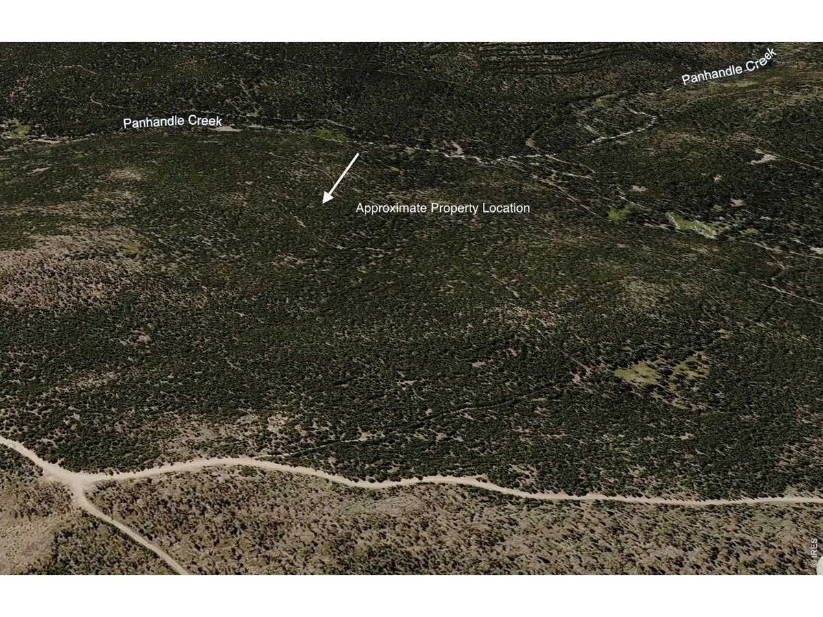 0 Forest Service 169 Lot #10 Rd, Red Feather Lakes, CO 80545 - #1