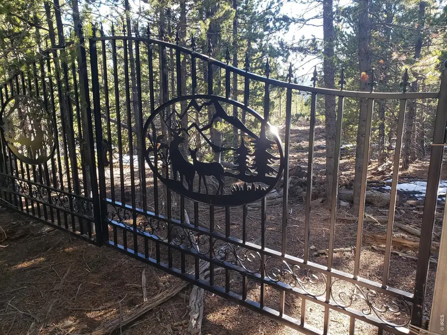 0 Forest Service 169 Lot #10 Rd, Red Feather Lakes, CO 80545 - #3