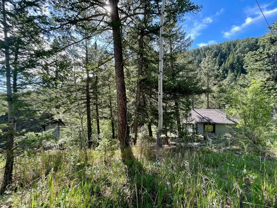 10763 Twin Spruce Rd, Golden, CO 80403 - #2