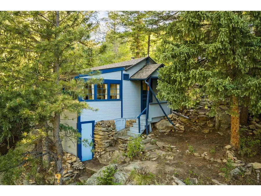 10763 Twin Spruce Rd, Golden, CO 80403 - #3