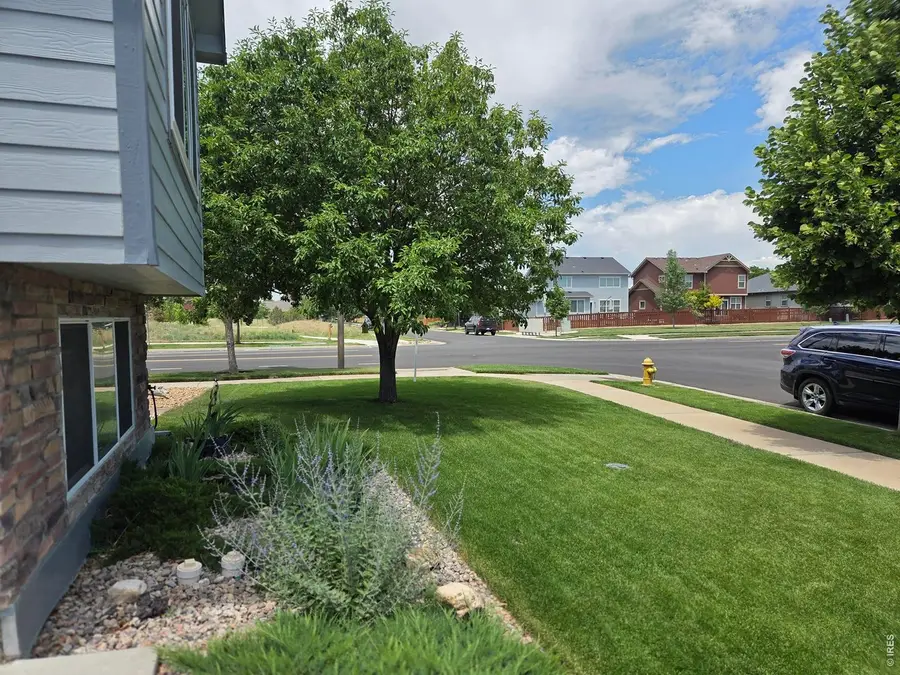 3445 Yule Trail Dr, Fort Collins, CO 80524 - #3